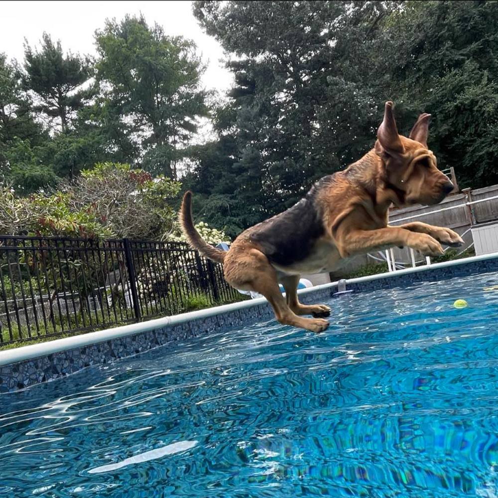 Meet your Posher, Jennifer